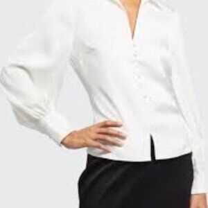 BNWT, V-Neck Long-Sleeve Collared Satin Blouse - Size 6! Never Worn!